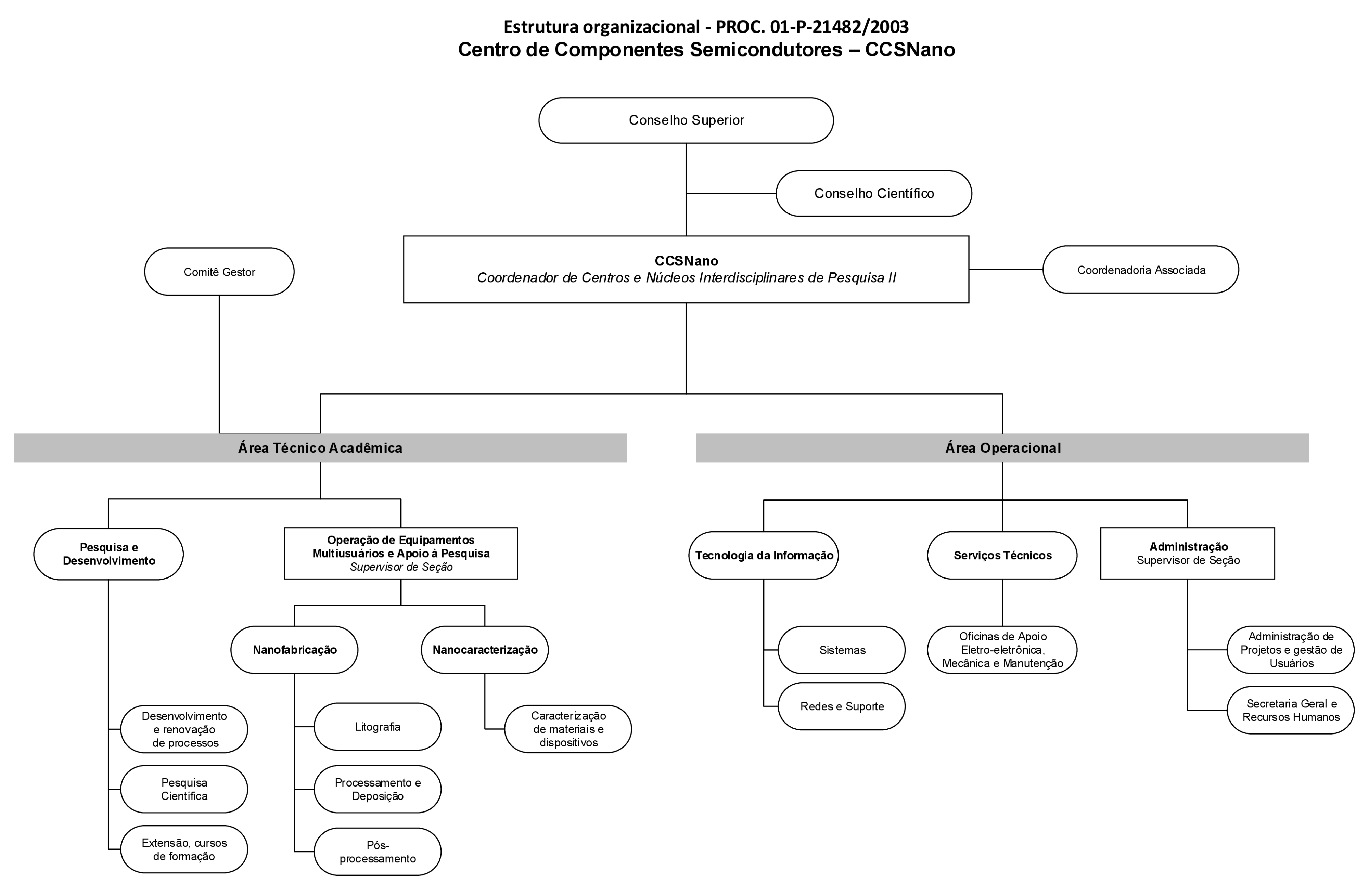 ORGANOGRAMA CCSNANO 2024